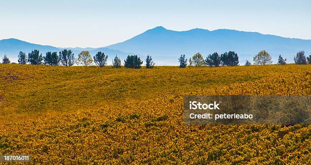 Sfumature Di Vino Paese Harvest - Fotografie stock e altre immagini di Ambientazione esterna - Ambientazione esterna, Autunno, Azienda vinicola