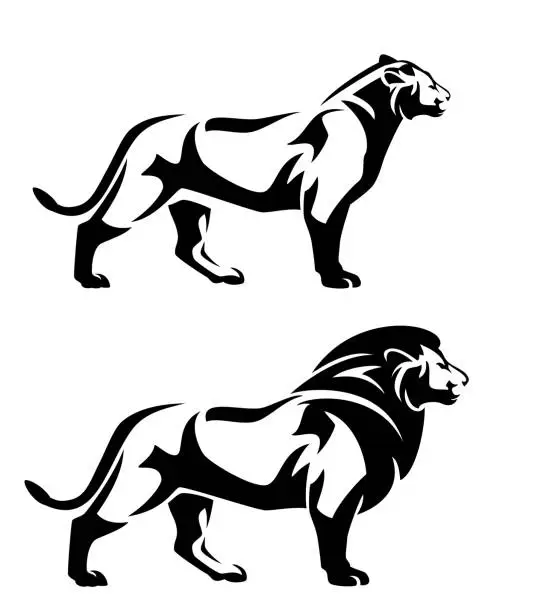 Vector illustration of standing lion and lioness side view black and white vector outline