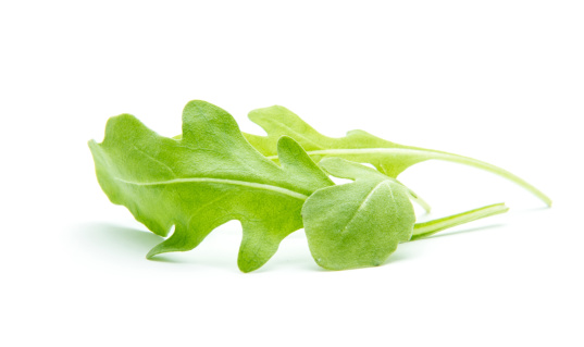 green rucola leaves isolated on white background