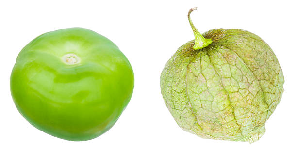 Tomatillo Tomatillo with and without its natural husk wrapping, isolated on white. They aren't as closely related to ordinary tomatoes as you might suppose, more like cape gooseberries. tomatillo photos stock pictures, royalty-free photos & images