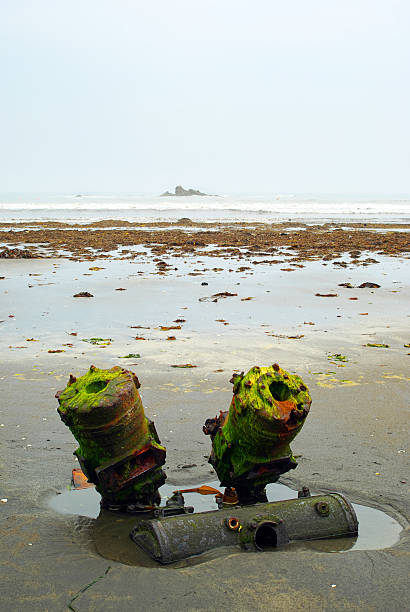 morze śmieci - kunashir island zdjęcia i obrazy z banku zdjęć