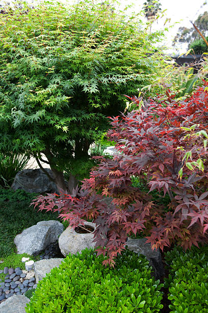 istock Japanese Garden 187019904