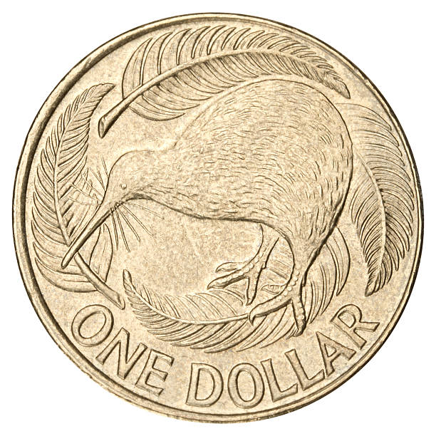 New Zealand Dollar on white background New Zealand Dollar coin isolated on white new zealand dollar photos stock pictures, royalty-free photos & images