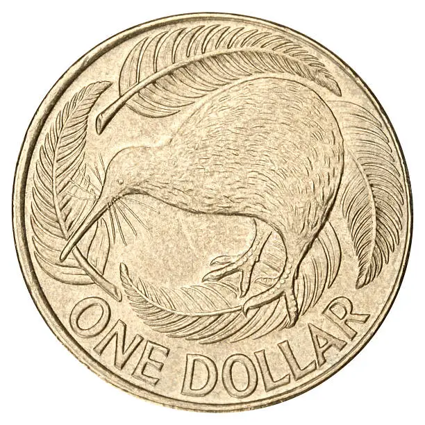 New Zealand Dollar coin isolated on white