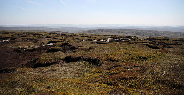 de la moorland paisaje en estante amarre, bleaklow, distrito de peak - bridle path fotografías e imágenes de stock