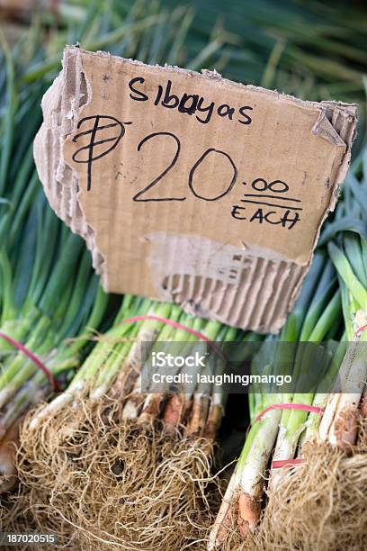 Green Onions Stock Photo - Download Image Now - Agriculture, Arrangement, Asian Market