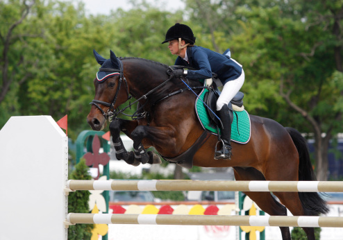 Excited horse welcomes its female equestrian in helmet and uniform, with its head out of stable.