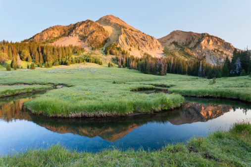 Mountain at sunrise reflecting in meadow stream