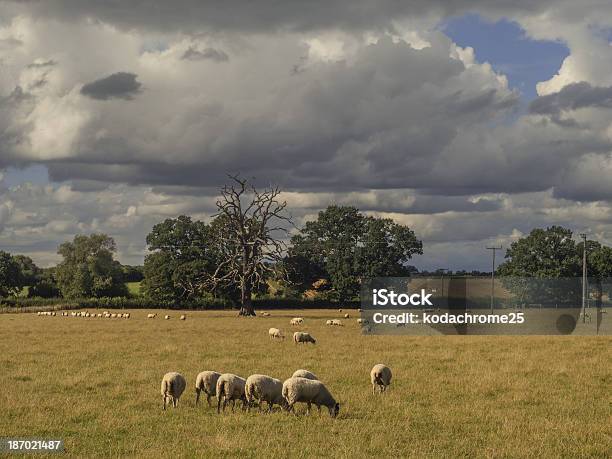 田舎 - イギリスのストックフォトや画像を多数ご用意 - イギリス, イングランド, ウォリックシャー