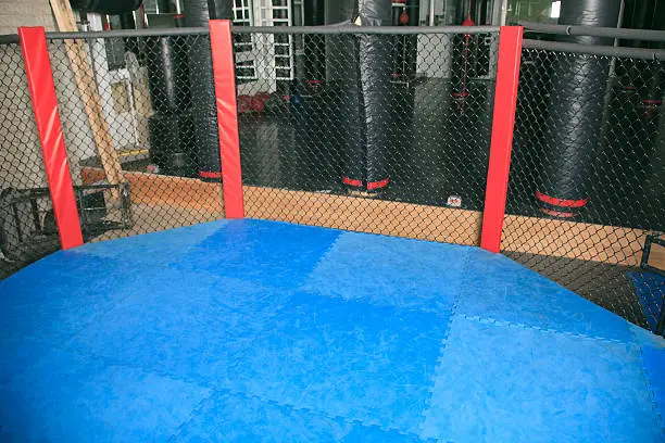 Photo of UFC Training Ring