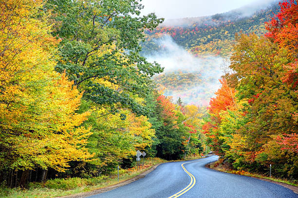 istock Autumn Road in New Hampshire 187021943