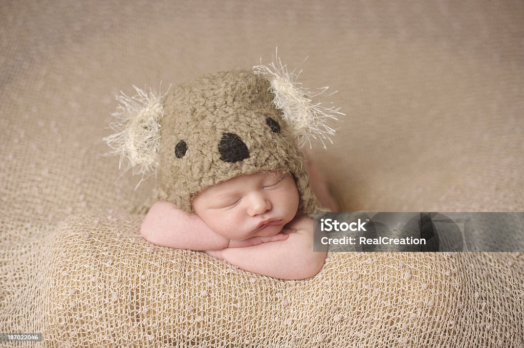 Neonato ragazzo dormire in Koala cappello lavorato a maglia - Foto stock royalty-free di 0-1 Mese