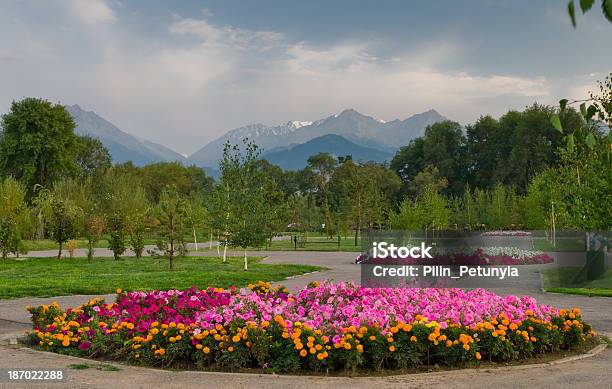 Blumen In Almaty National Park Stockfoto und mehr Bilder von Abenddämmerung - Abenddämmerung, Almaty, Asien