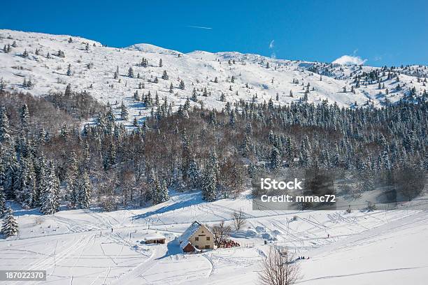 Paisaje De Invierno Con Nieve Y Árboles Foto de stock y más banco de imágenes de Abeto Picea - Abeto Picea, Aire libre, Ajardinado