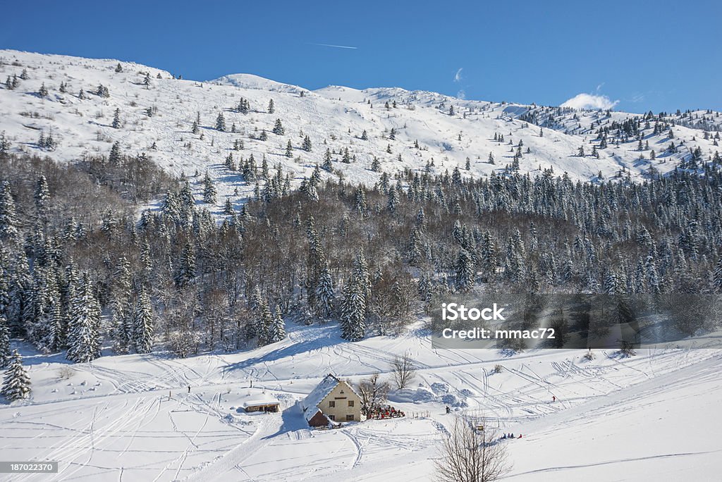 Paisagem do inverno com neve e árvores - Royalty-free A nevar Foto de stock