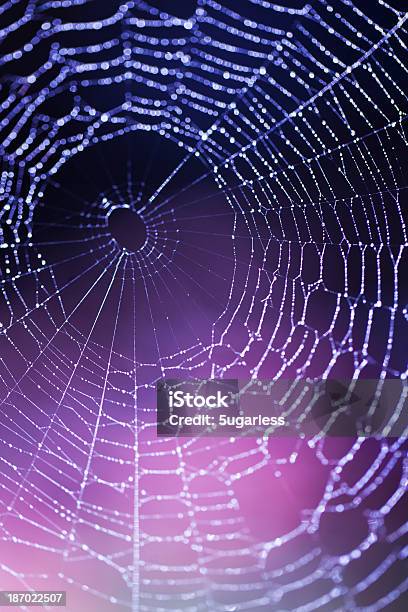 Spider Web Stock Photo - Download Image Now - Spider Web, Dew, Outer Space