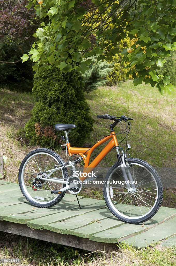 Bicykl - Zbiór zdjęć royalty-free (Rower górski)