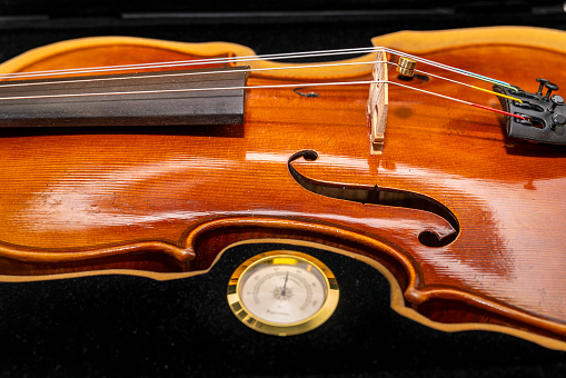 Luthier's viola. Instrument in close-up detail of the strings, bridge and tuners of a viola. Selective focus