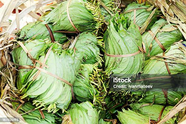 Betel Nakrętka Liście - zdjęcia stockowe i więcej obrazów Liść - Liść, Areca catechu, Areka