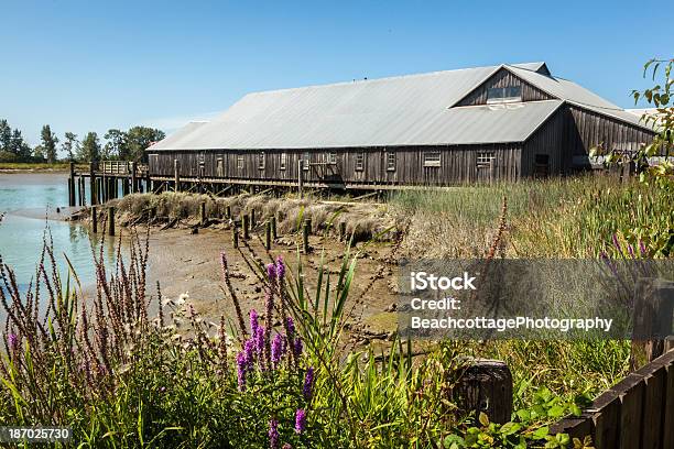 Steveston Britannia Cannery - Fotografie stock e altre immagini di Ambientazione esterna - Ambientazione esterna, Bassa marea, Canada