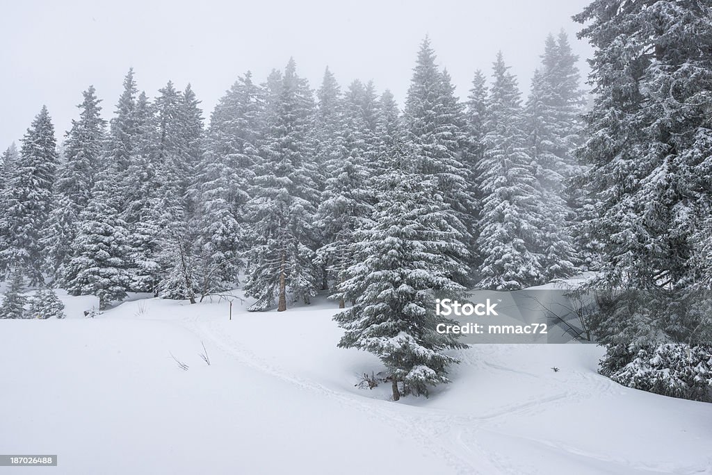 Winterlandschaft mit Schnee UND Bäume - Lizenzfrei Alpen Stock-Foto
