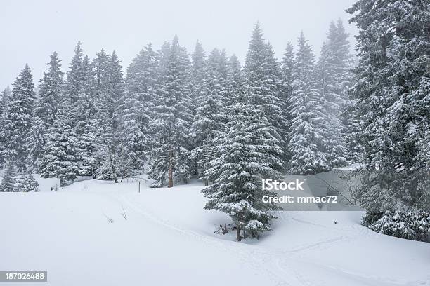 Winterlandschaft Mit Schnee Und Bäume Stockfoto und mehr Bilder von Alpen - Alpen, Anhöhe, Arktis