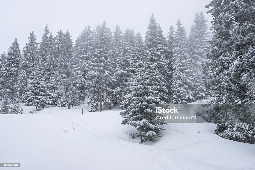 Paesaggio invernale con neve e alberi - Foto stock royalty-free di Albero