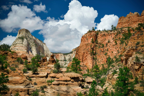 The rugged and beautiful landscape of Zion National Park near Springdale, Utah.
