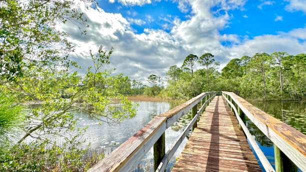 istock Spruce Bluff Preserve  PT St Lucie Fl 1870269338