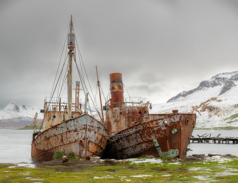 A pair of abandoned whaling ships rust on the shore of the whaling station at Grytviken, South Georgia