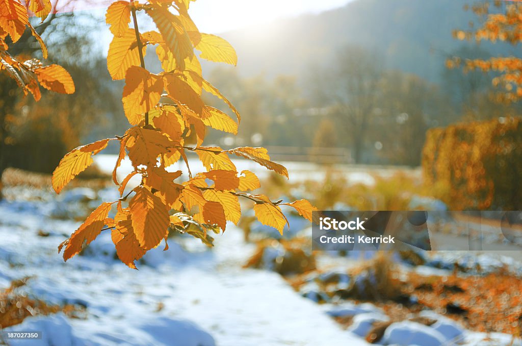 Einsetzende winter-frühen Schnee im Oktober - Lizenzfrei Anfang Stock-Foto