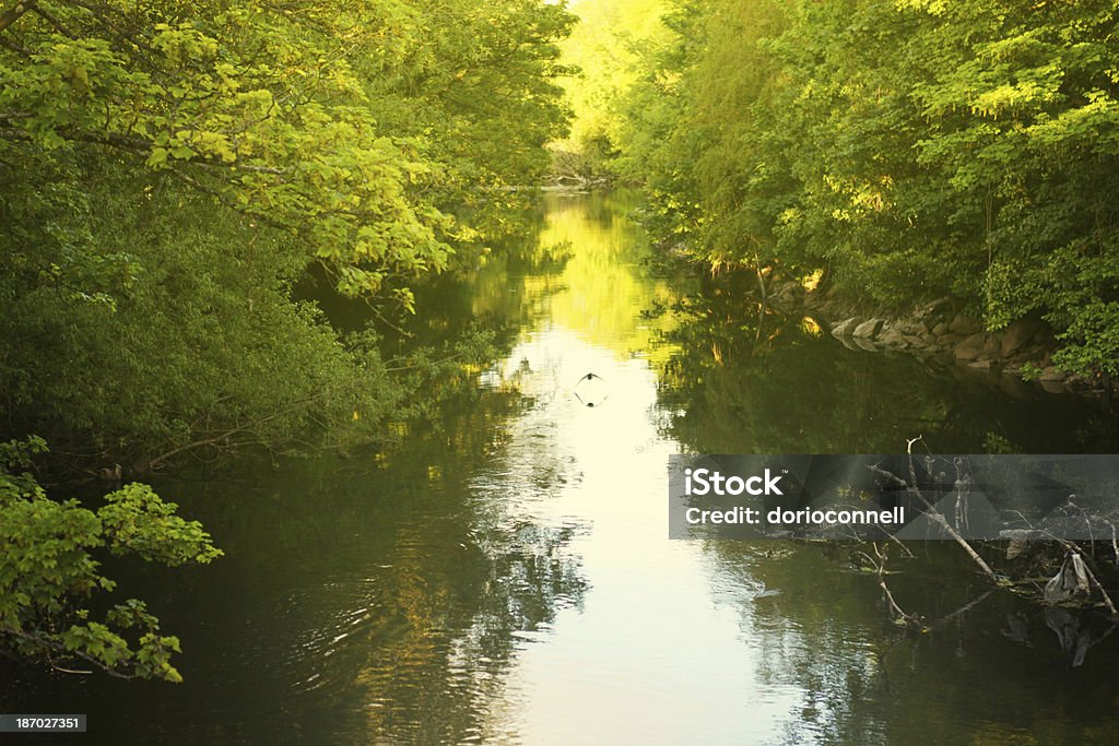 Cork City rio - Foto de stock de Corcaigh royalty-free