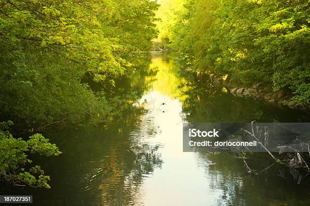 Foto de Cork City Rio e mais fotos de stock de Corcaigh - Corcaigh, Exterior, Fotografia - Imagem