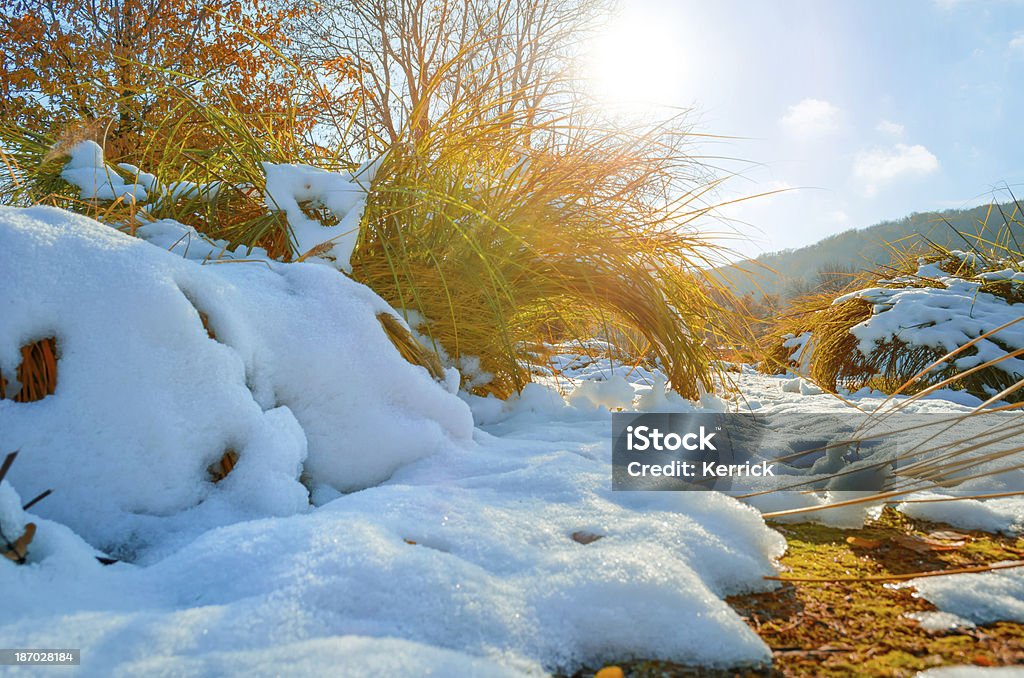 Einsetzende winter-frühen Schnee im Oktober - Lizenzfrei Anfang Stock-Foto