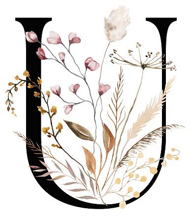 Black capital letter U with autumn watercolor wildflowers and leaves, isolated illustration. Brown, dark red and beige floral Alphabet element for wedding stationery and greeting design