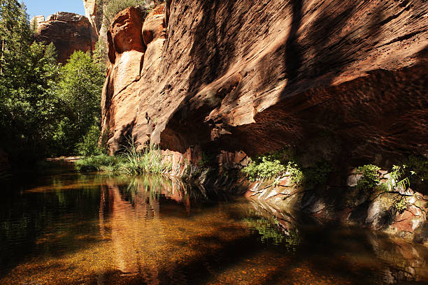 istock Red Rock Canyon Wilderness Desert Oasis 187030233