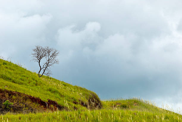 istock Rural scenic with fence and grass 187030407