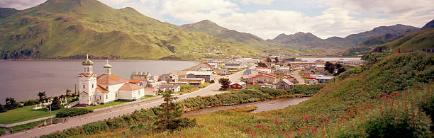 Viewed from Haystack Road Hill, view is southeast. Shot on August 23, 2013 using 6x17 cm Ektar film. This is the town nearby Dutch Harbor which is in the Aleutian Islands.