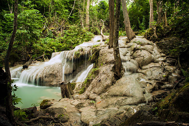 pływający wody w dżungli - tropical rainforest thailand root waterfall zdjęcia i obrazy z banku zdjęć