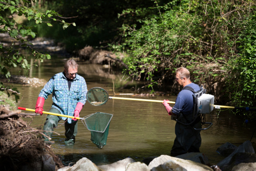 Electrofishing is a common scientific survey method used to sample fish populations to determine abundance, density, and species composition. When performed correctly, electrofishing results in no permanent harm to fish, which return to their natural state in as little as two minutes after being stunned