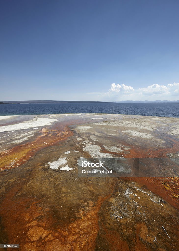 Yellowstone: Brązowe algi strumień w lakeside - Zbiór zdjęć royalty-free (Bez ludzi)