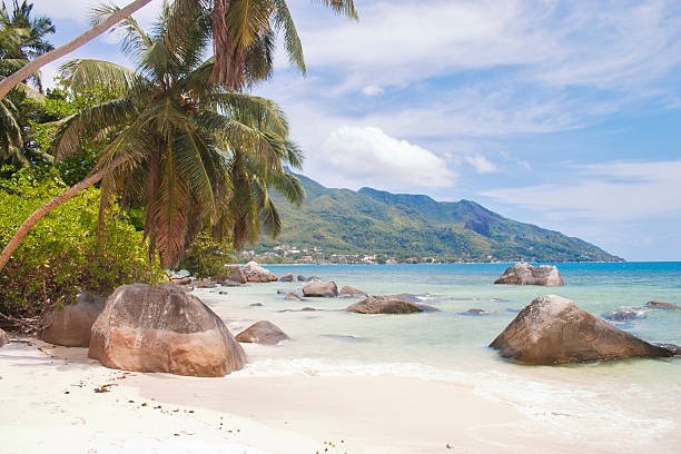 istock Beau Vallon bay on Seychelles 187031679