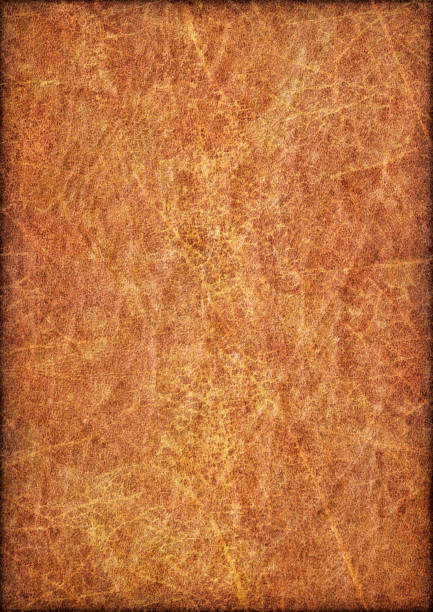istock Antique Animal Skin Parchment Vignette Grunge Texture 187031772