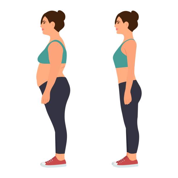 Young woman with overweight and slim body in sportswear. Young woman with overweight and slim body in sportswear. Before and After Weight Loss. Vector illustration Isolated on white. slim woman body stock illustrations