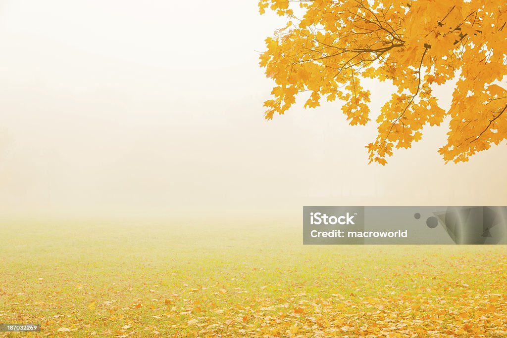 Herbst Branch im Park - 36 Mpx - Lizenzfrei Abgeschiedenheit Stock-Foto