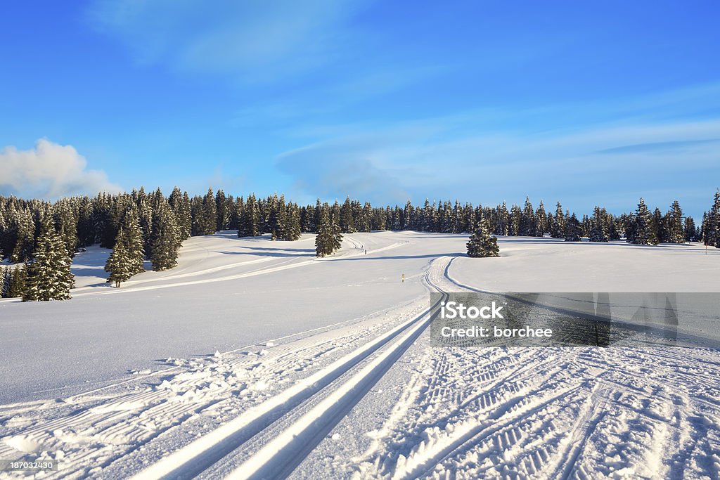 Cross Country Ski-Titel - Lizenzfrei Abgeschiedenheit Stock-Foto