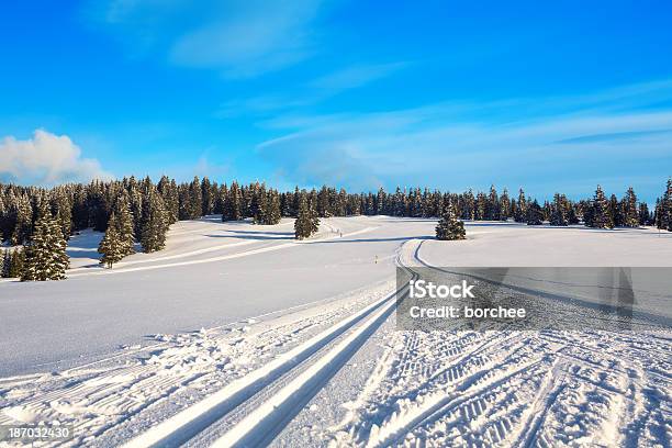 Cross Country Skititel Stockfoto und mehr Bilder von Abgeschiedenheit - Abgeschiedenheit, Aktivitäten und Sport, Arktis