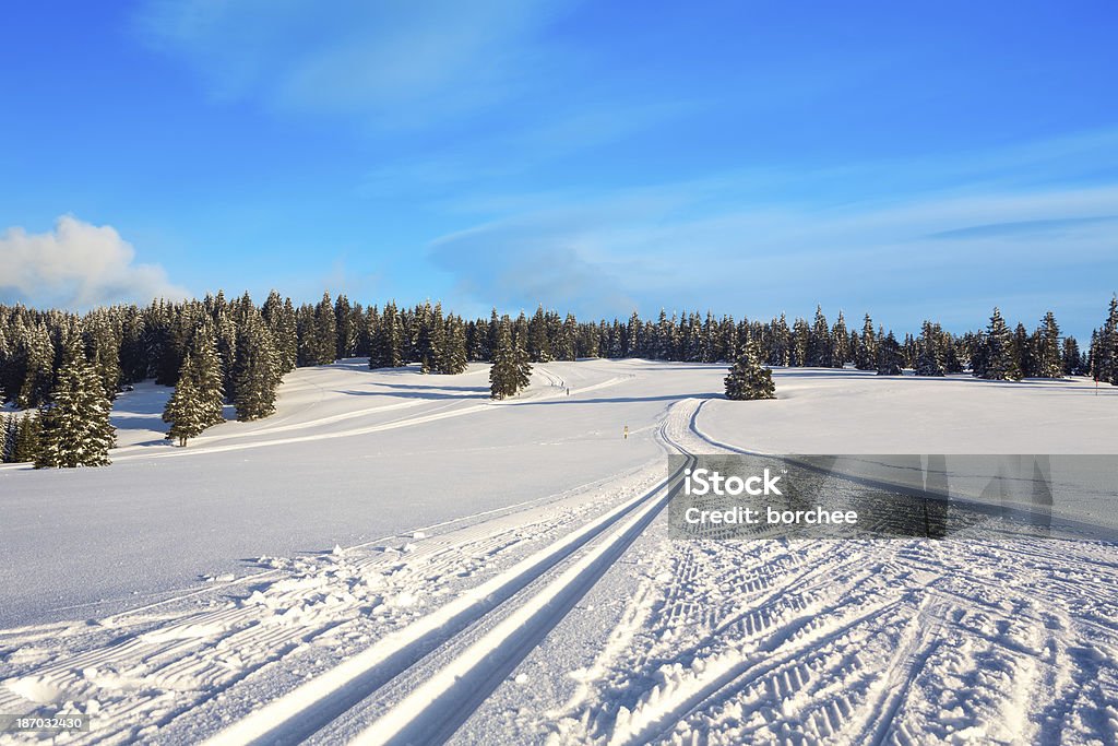 Cross Country pistas de esquí - Foto de stock de Abeto libre de derechos
