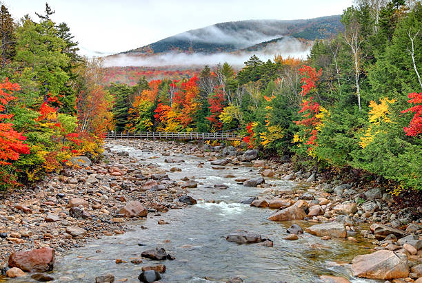 istock Autumn in the White Mountains 187033074