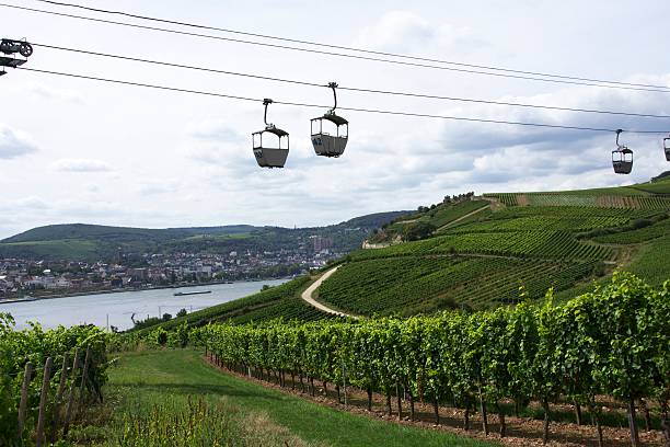 istock Rhine River and Cable Cars 187033547